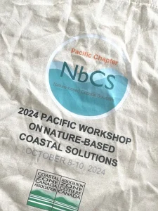Pacific Workshop on Nature-based Coastal Solutions