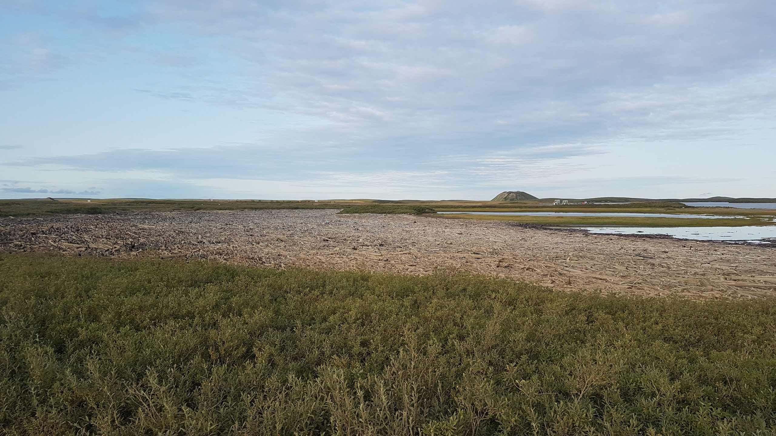 Storm-Driven Transport of Coastal Driftwood at Tuktoyaktuk