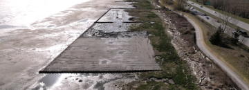 Living Dyke at Boundary Bay